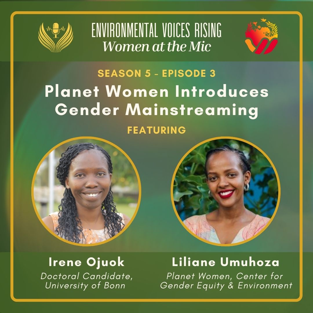 Planet Women Introduces Gender Mainstreaming episode artwork