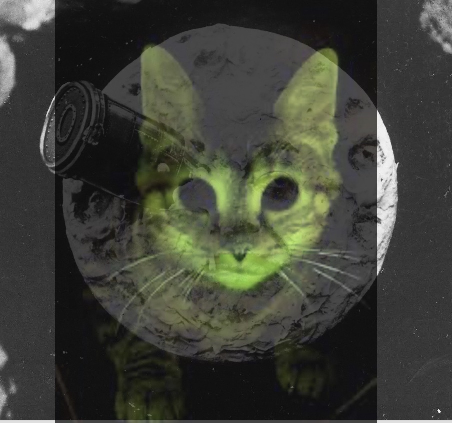 Ray Cats Nuke the Moon