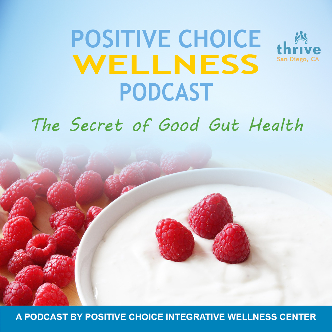 Episode 17: The Secret of Good Gut Health episode artwork